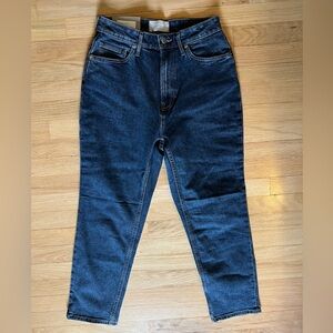 Everlane The Original Curvy Cheeky Jean